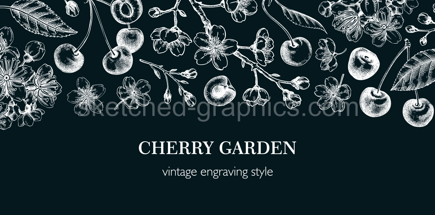 Summer background, engraved style. Cherry blossom, sakura flowers, berry fruit chalk drawings. NOT AI generated Illustration